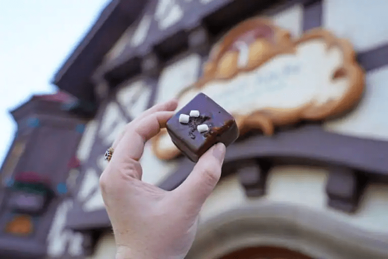 314453523 1216273202435118 7148008566432325481 n