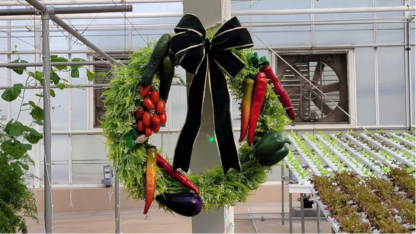 Epcot Festival Of The Holidays 
