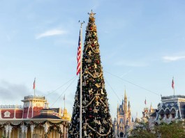 AADCA959 9FC3 43D0 B67F 5717D72634F1