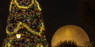 International Festival of the Holidays