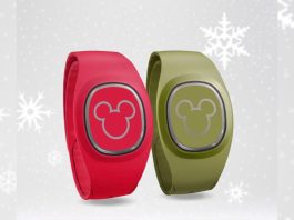 MagicBand+