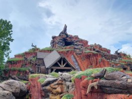 Disney World Resort Closures