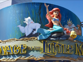 rides and attractions