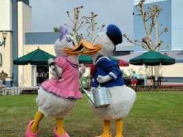 331773599 1364722284365809 3915264082133125018 n