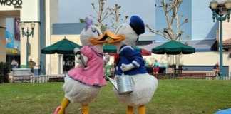 331773599 1364722284365809 3915264082133125018 n