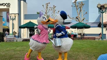 331773599 1364722284365809 3915264082133125018 n