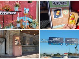 Disney News Round-Up