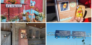 Disney News Round-Up