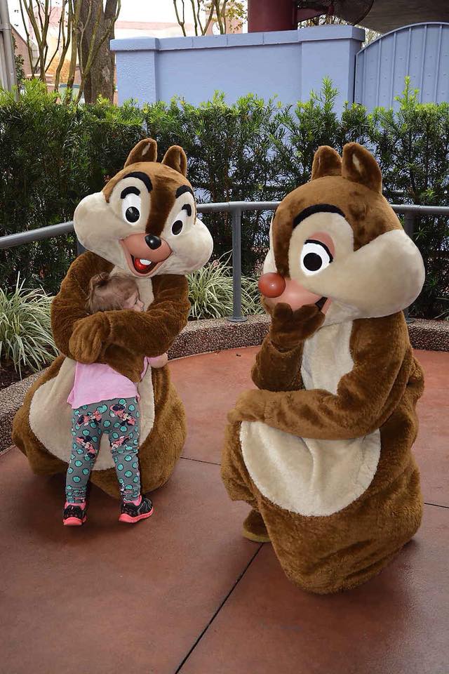 How to have the Best Disney Character Meet and Greets 3 chip dale