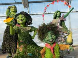 Amazing New Topiaries