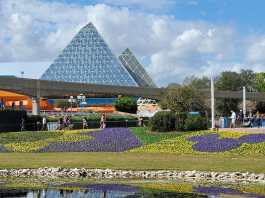 Updates Coming to Disney World