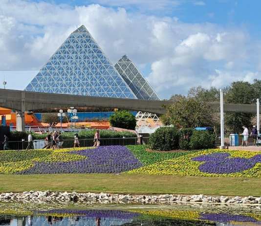 Updates Coming to Disney World