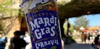 Refillable Drink Cups