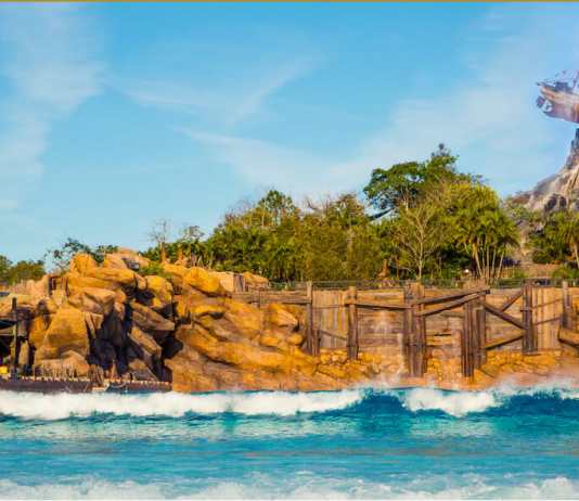 typhoon lagoon wave pool