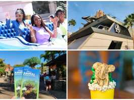 Disney News Highlights