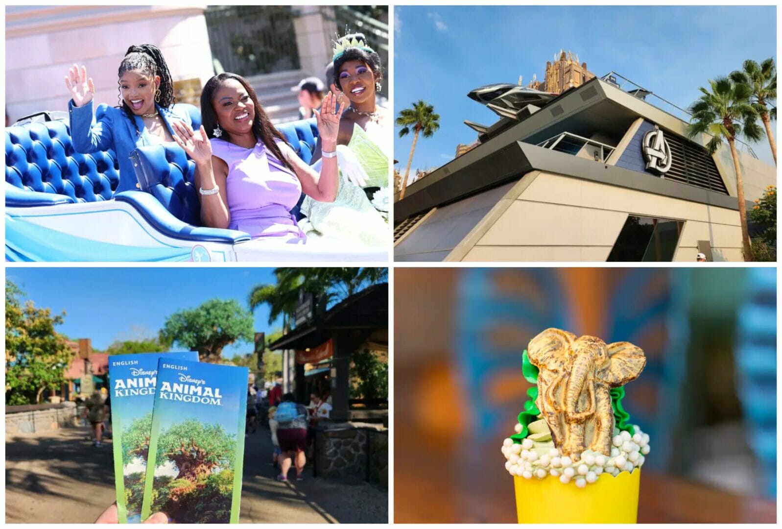 Disney News Highlights