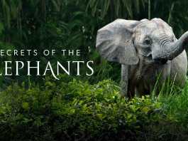 1600x900 Q90 16a725a6b01392a00bd44de3ab2c6571