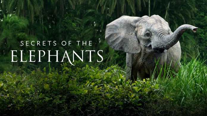 1600x900 Q90 16a725a6b01392a00bd44de3ab2c6571