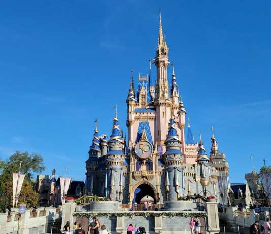 the 50th Anniversary