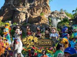 A2B6ADCE 5370 4878 8532 B9828AD24C46