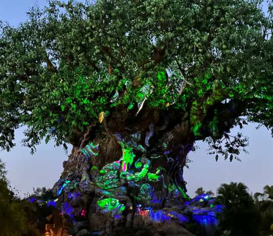 Airport Cover Tree of Life