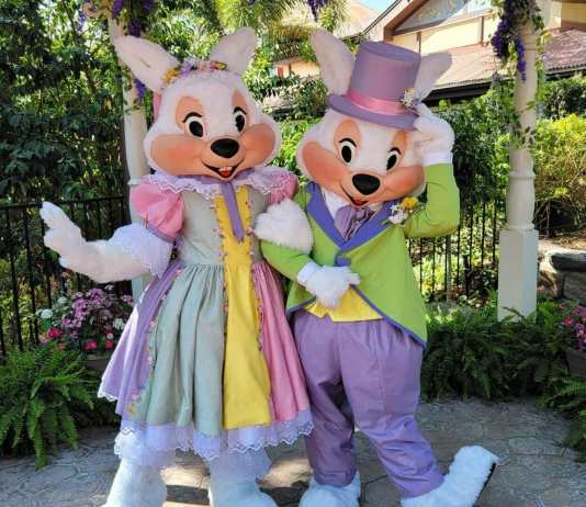 BB92FDB3 8617 4442 8144 9671C0996F35