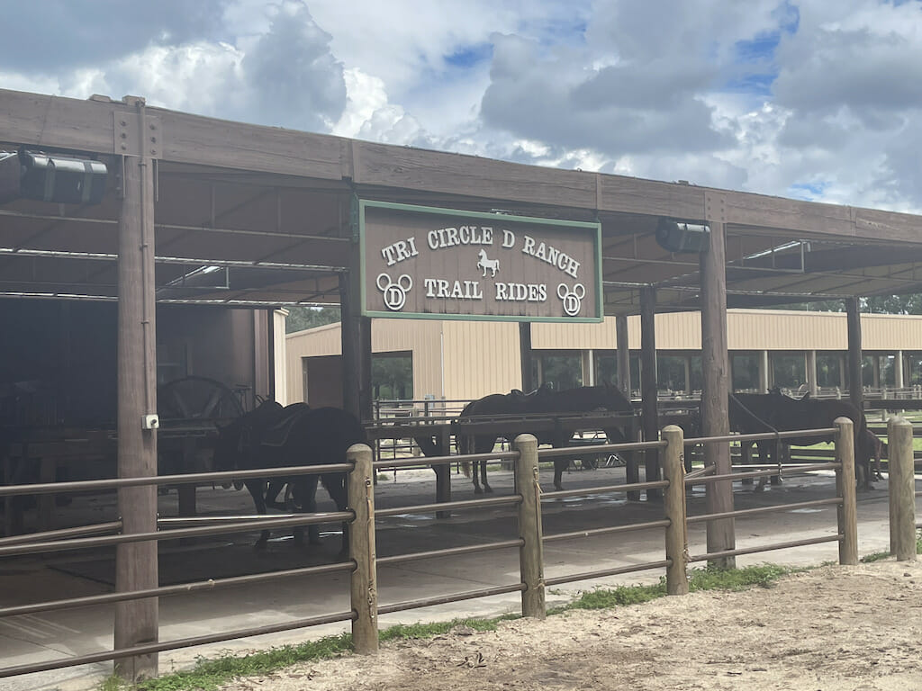 Fort Wilderness Horses 1