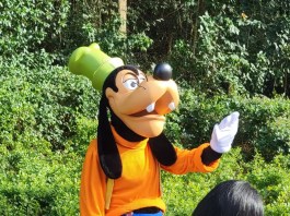 20230118 152203 1170x659 1