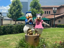 walt disney world walking cover