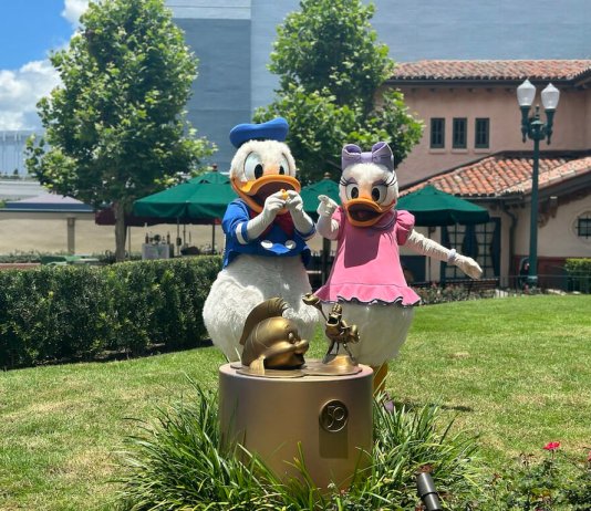 walt disney world walking cover