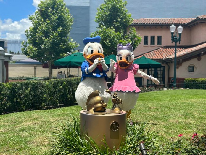 walt disney world walking cover