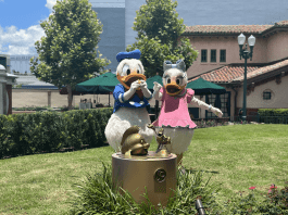 Walt Disney World Transport Article Cover