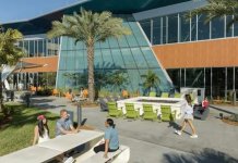 Disney College Program