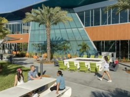 Disney College Program