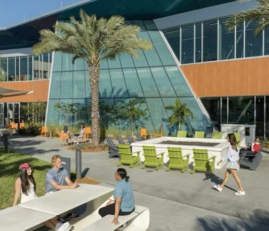 Disney College Program