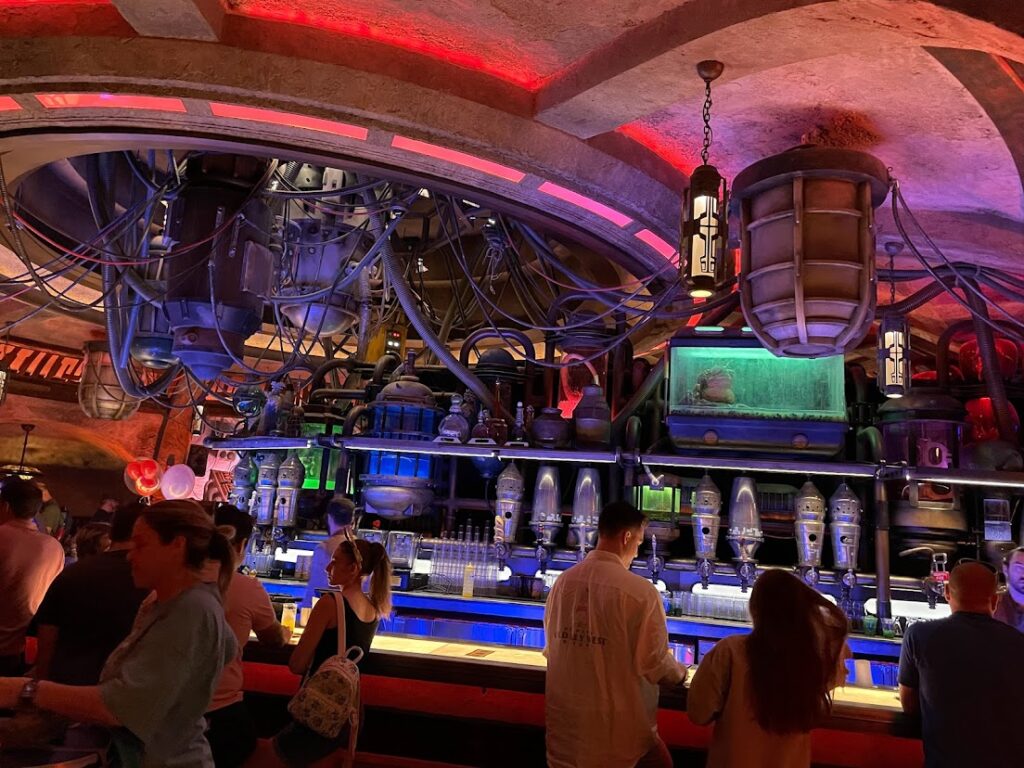 Money and Time-Saving Hacks to Galaxy's Edge 3 IMG 6525
