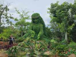 journey of Water Inspired by Moana