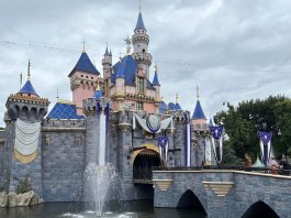 Planning your Next Disneyland Vacation