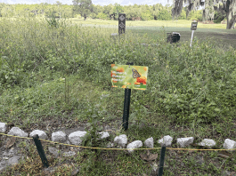 oak trail butterfly habitat cover