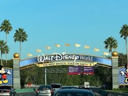 Planning your Next Disney World Vacation