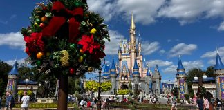 Magic Kingdom Christmas Wreath