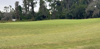 magnolia golf course green