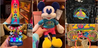 2024 Disney World Collection