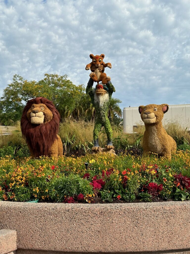 lion king