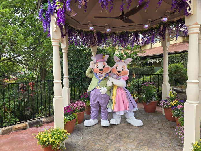 mr and mrs bunny magic kingdom 1