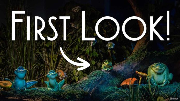 Tiana's Bayou Adventure