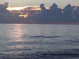 vero beach coastline disney beach day