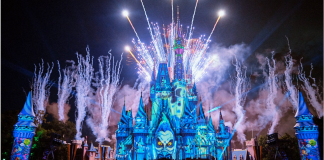 mickey NSSHP new items 2024 cover