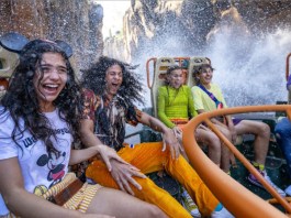 Walt Disney World Resort