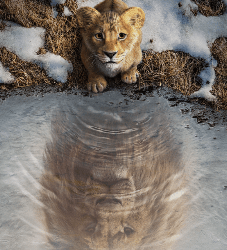 mufasa